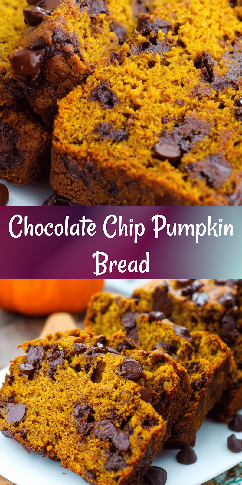 Best Chocolate Chip Pumpkin Bread