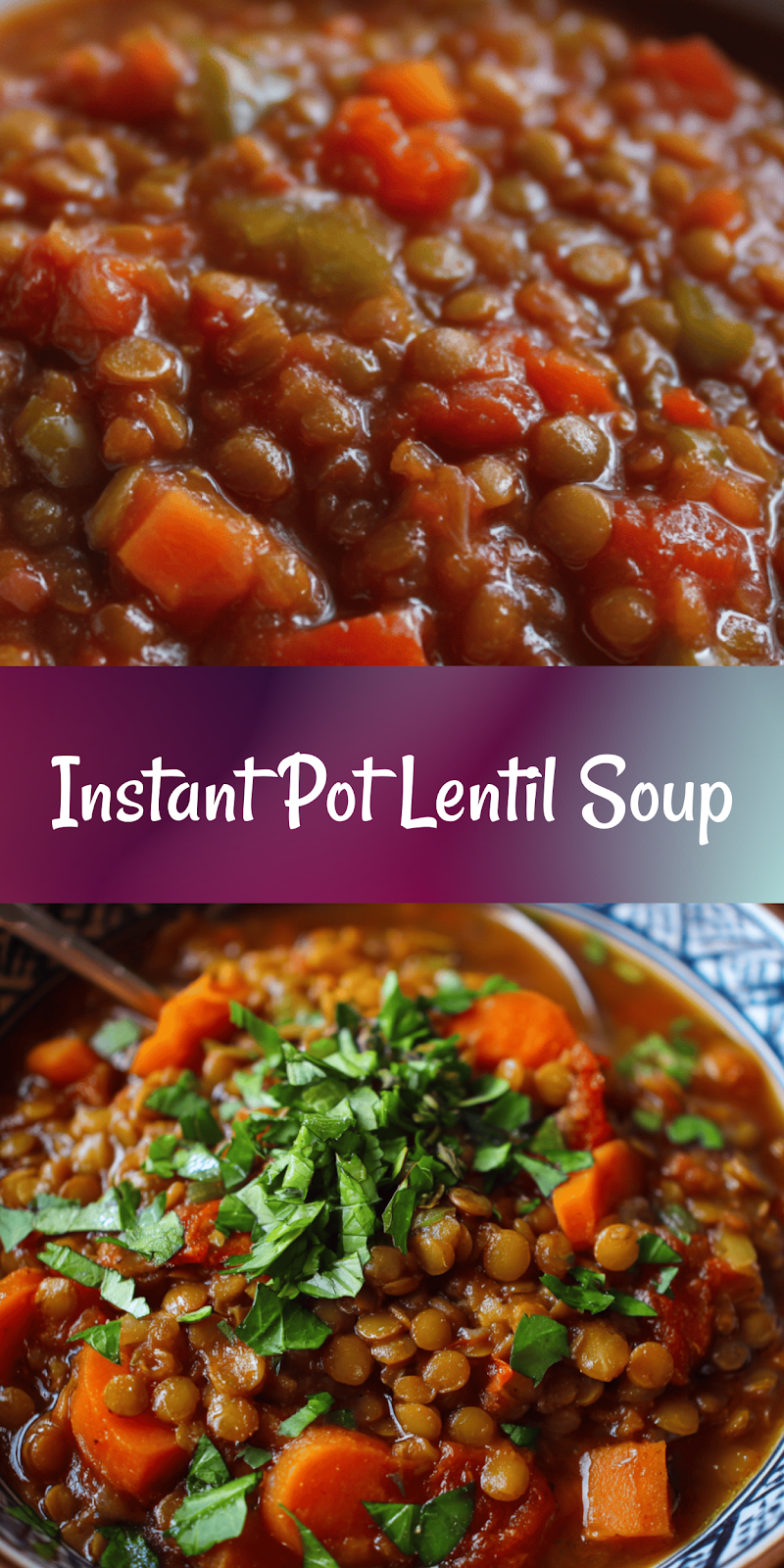 Easy Vegetarian Lentil Soup Made In The Instant Pot